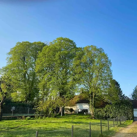 Les Grands Tilleuls Bed & Breakfast *